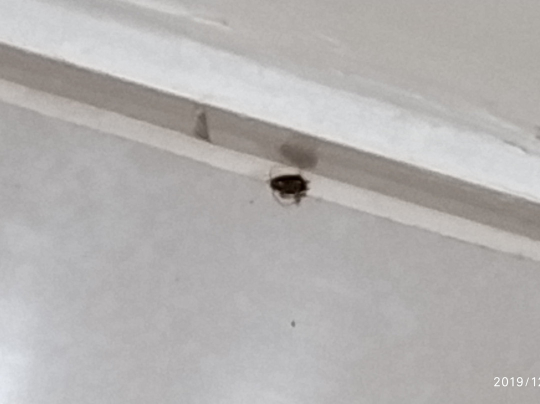 Barrudada Tropical Hotel主图