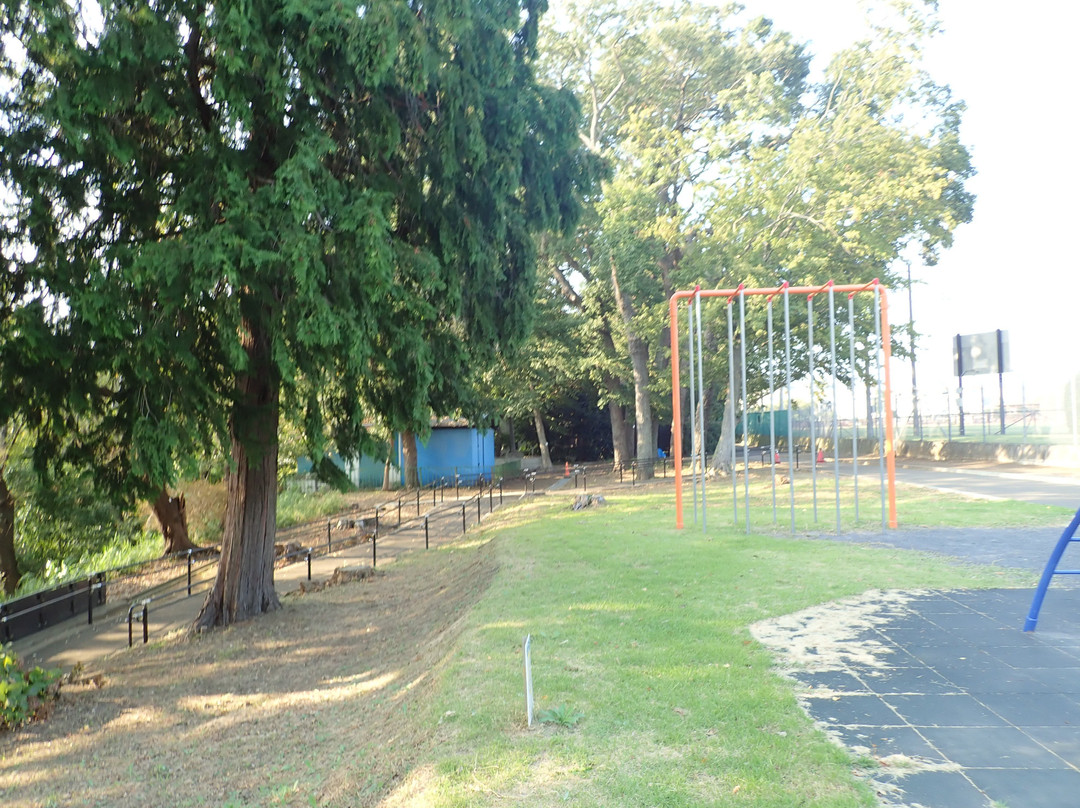 Zama Park-座间市必去景点
