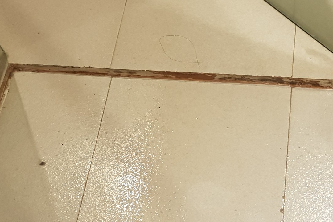 The Oriental Leyte主图