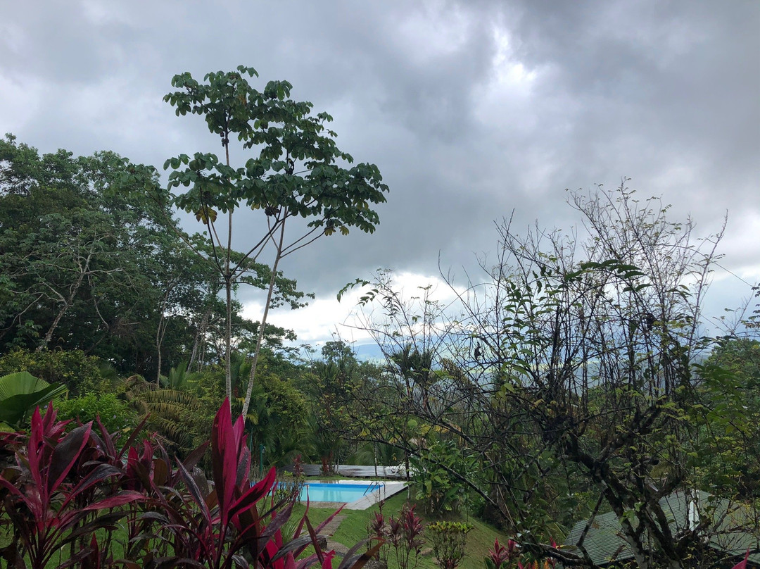 奥萨凉亭山林小屋主图