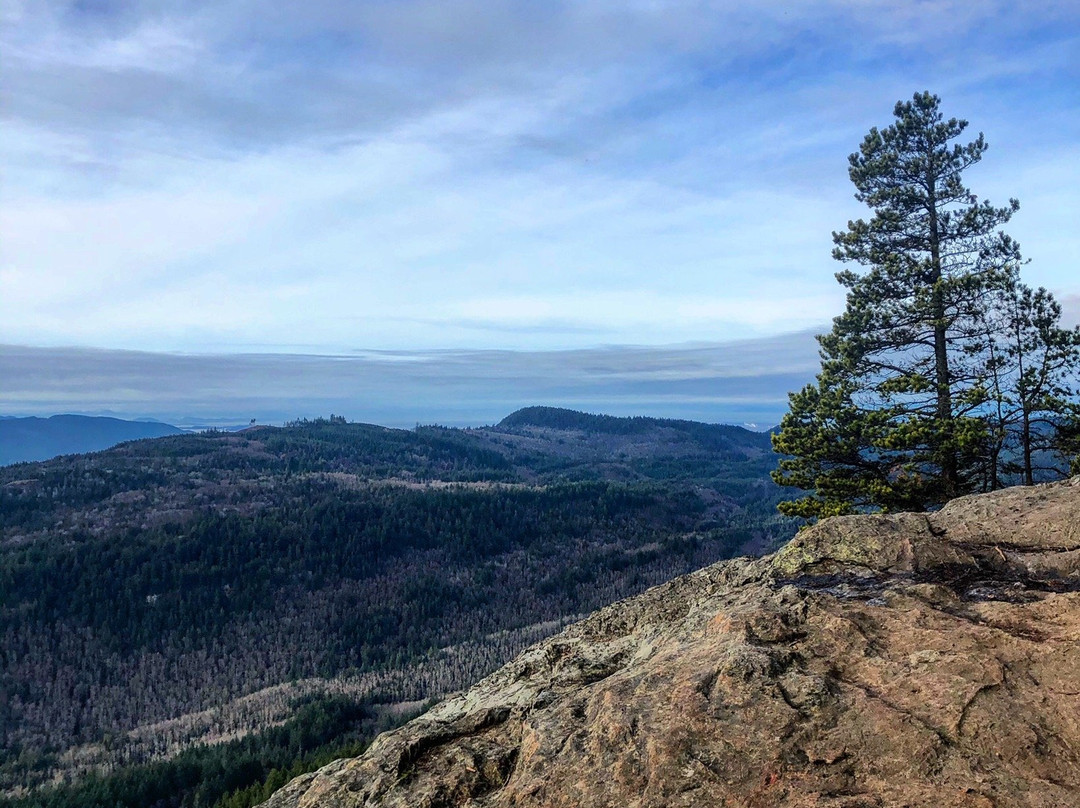 Oyster Dome Trail景点图片