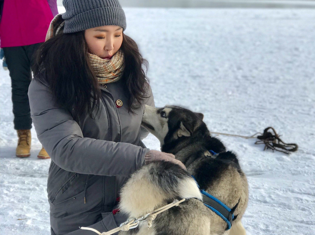 null-Gorkhi Terelj National Park