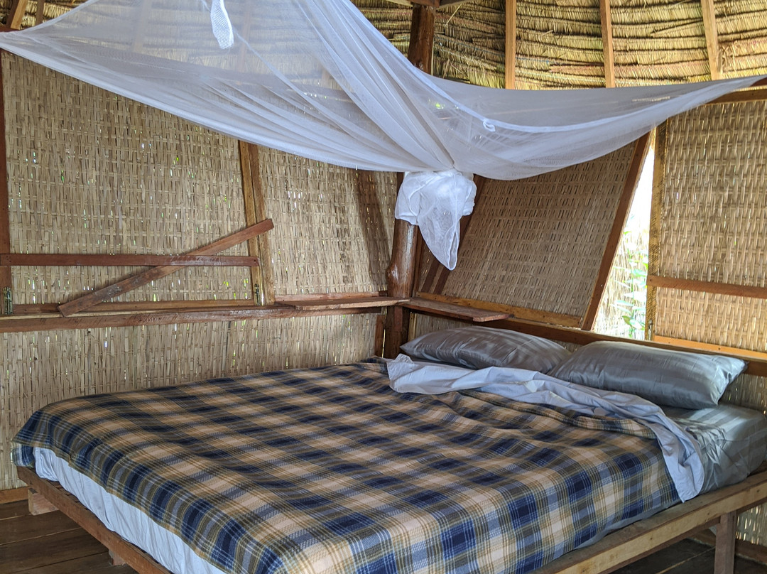 Jungle Bay Ecolodge
