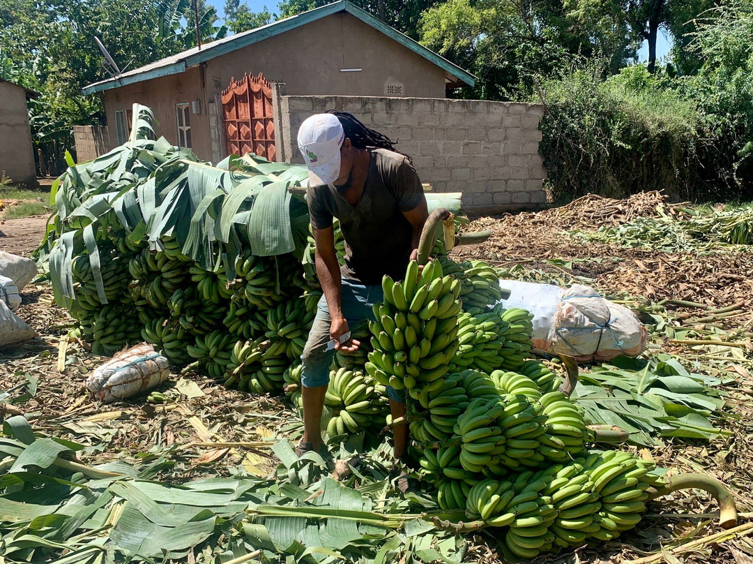Faraona expeditions-阿鲁沙必去景点
