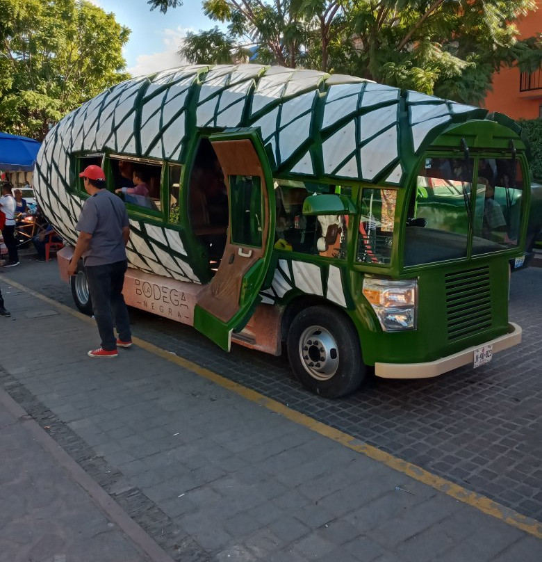 Tequila Tours-瓜达拉哈拉必去景点