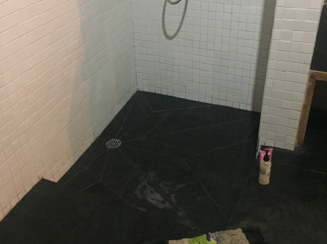 蓝鹦鹉酒店主图