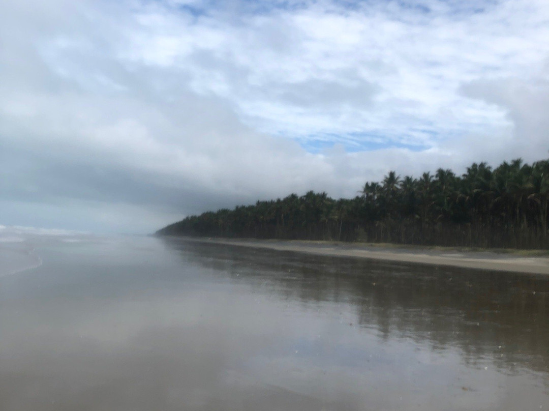 Cocosolo Lodge主图