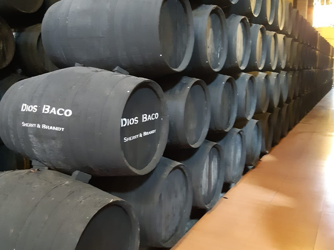 Bodegas Dios Baco-赫雷斯德拉弗隆特拉必去景点