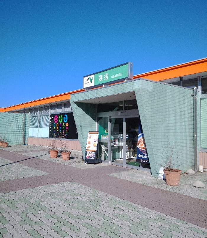 Obasute Service Area Kudari Lookout-千曲市必去景点