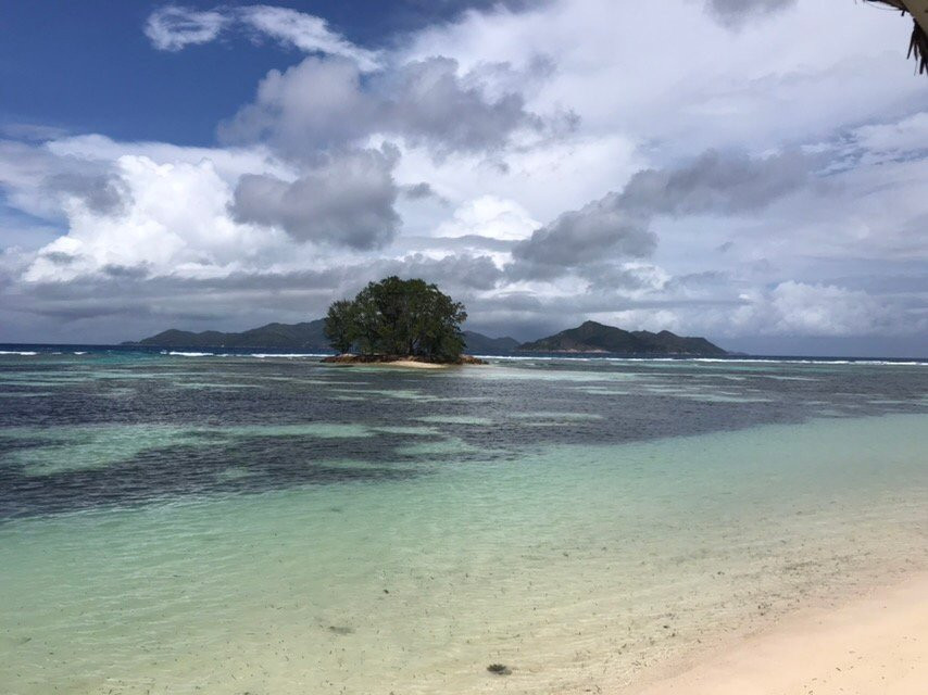 Anse La Reunion Beach景点图片