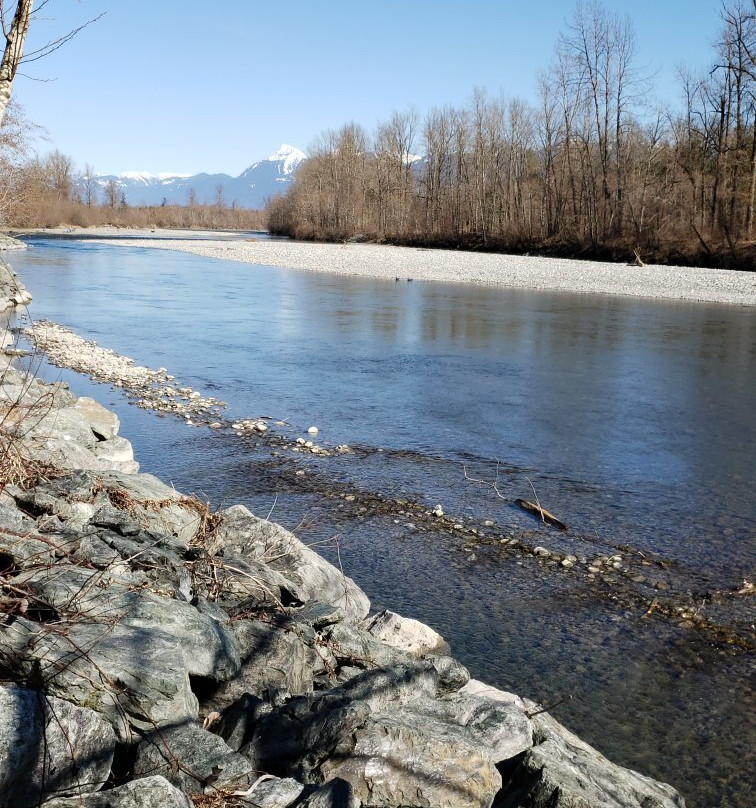 32 Vedder River Rotary Trail景点图片