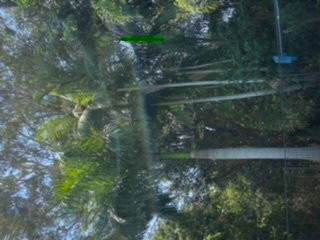 Buderim Fiesta Motel主图