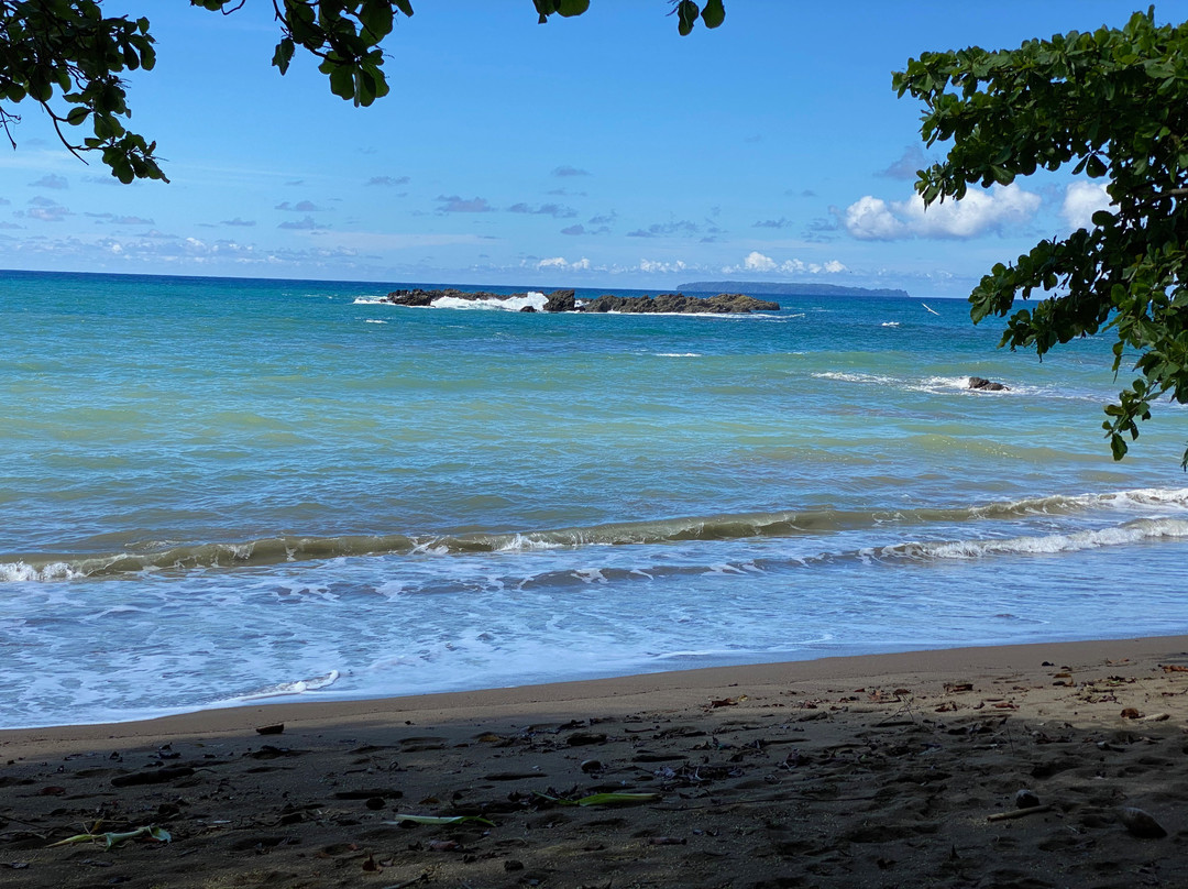 Drake Bay Wilderness Resort主图