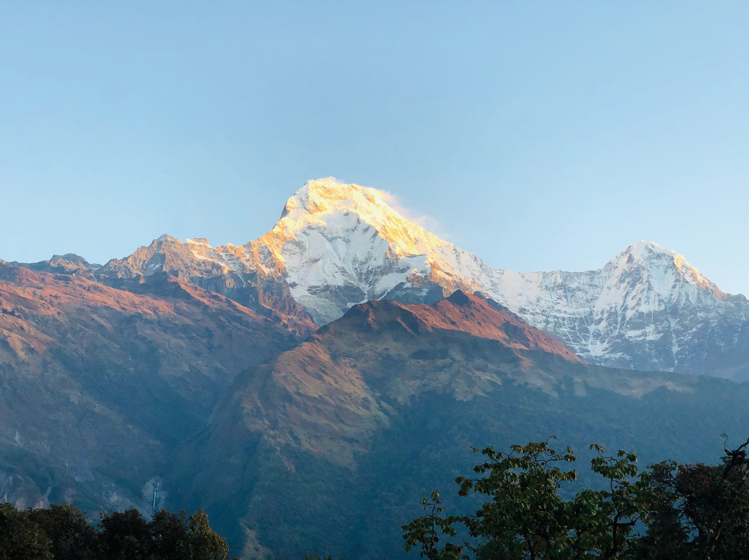 Hotel Grand View, Tadapani主图