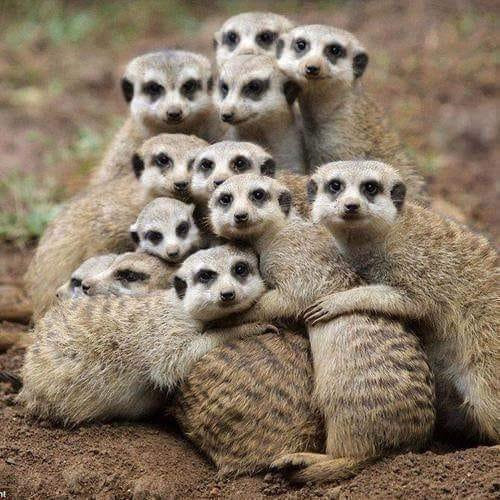 Trinity Tours-德班必去景点