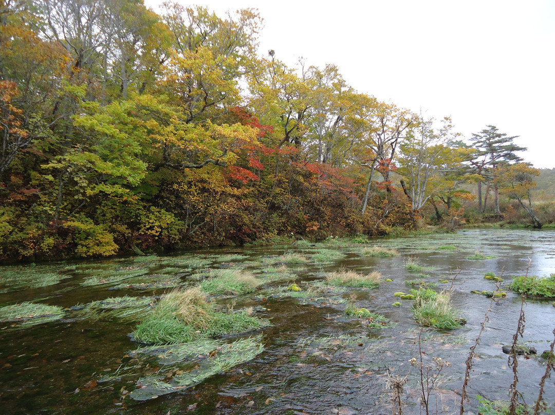 Gudari Swamp-青森市必去景点