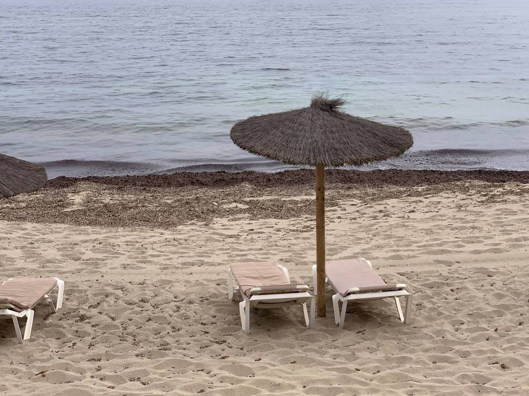 Gecko Beach House主图