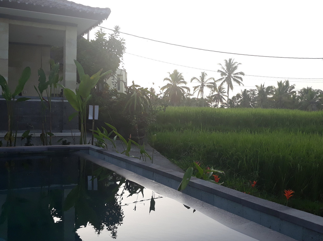 杜古村家庭旅馆主图