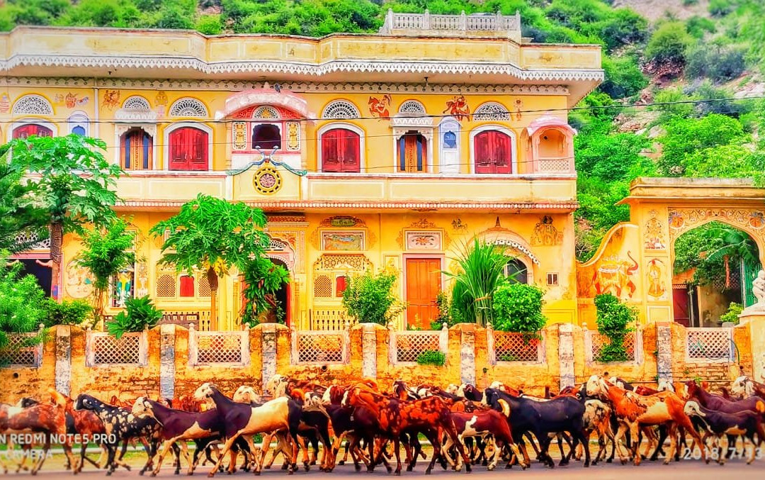 Raj Haveli- A Heritage Samode