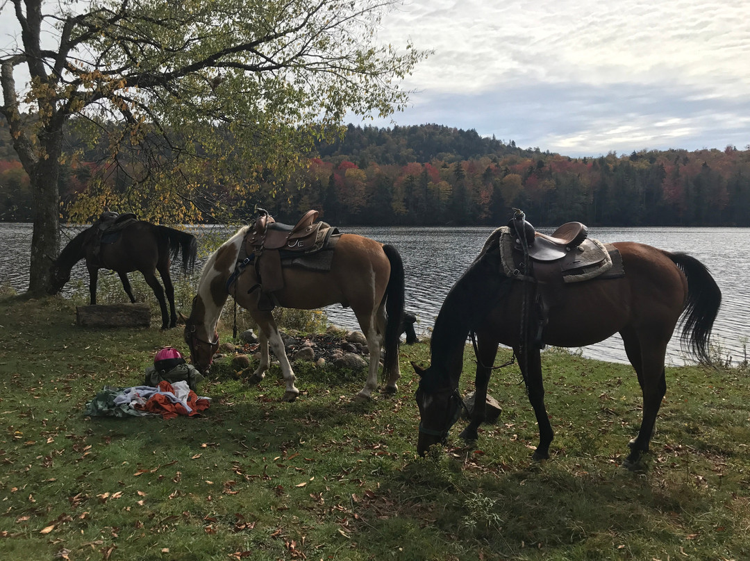 Adirondack Saddle Tours-Eagle Bay必去景点