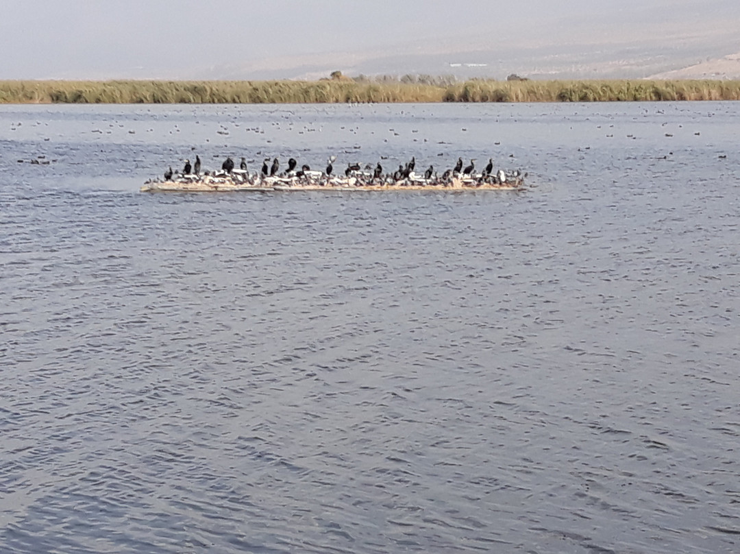 Hula Nature Reserve-加利利必去景点
