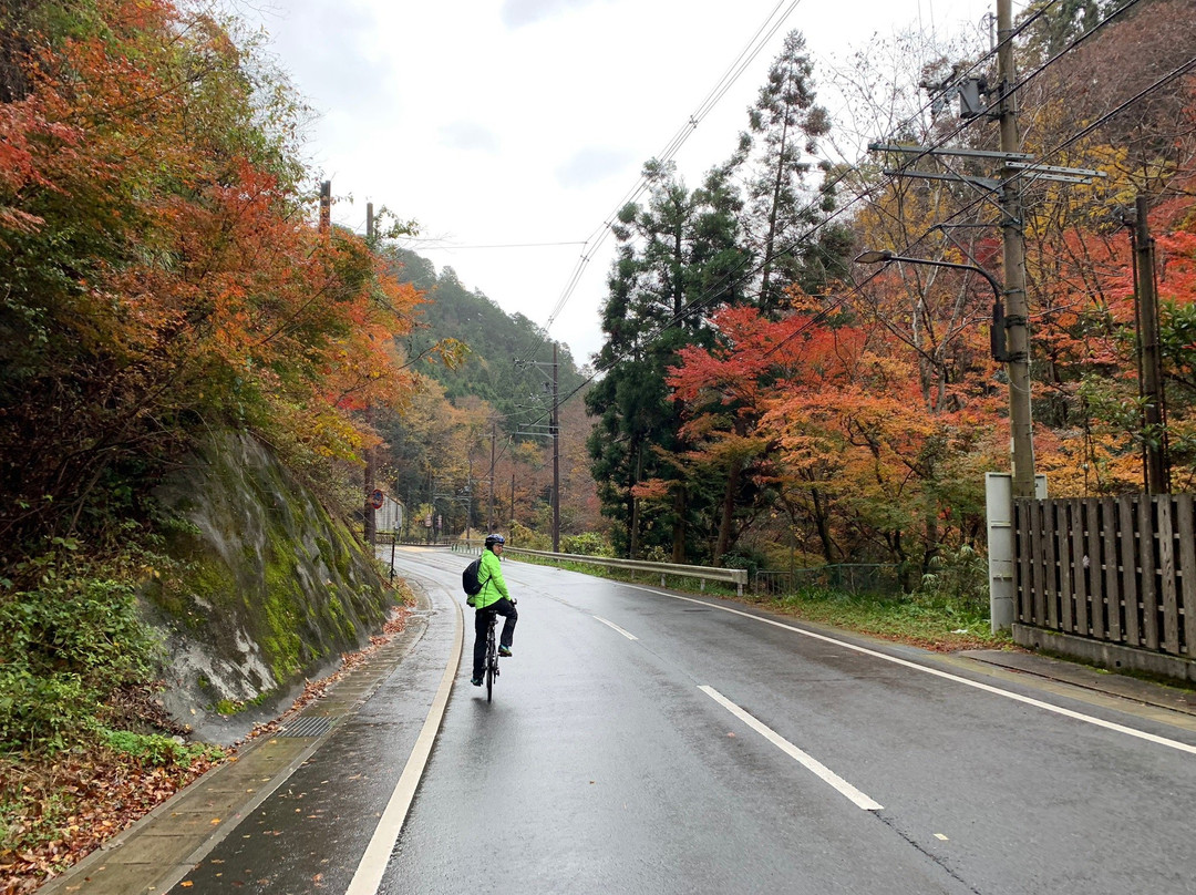 Kyoto Adventures-京都市必去景点