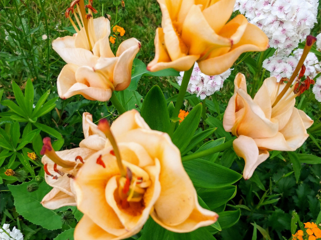 Sara Bonnyman Pottery-Tatamagouche必去景点