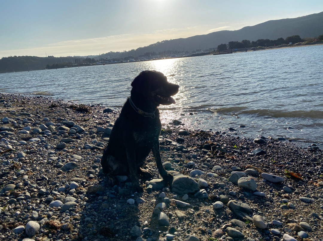 Deganwy Beach景点图片