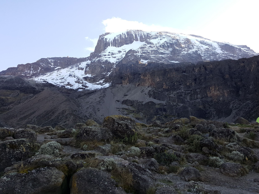 Tanzania Volunteers Ltd Day Tours-莫西必去景点