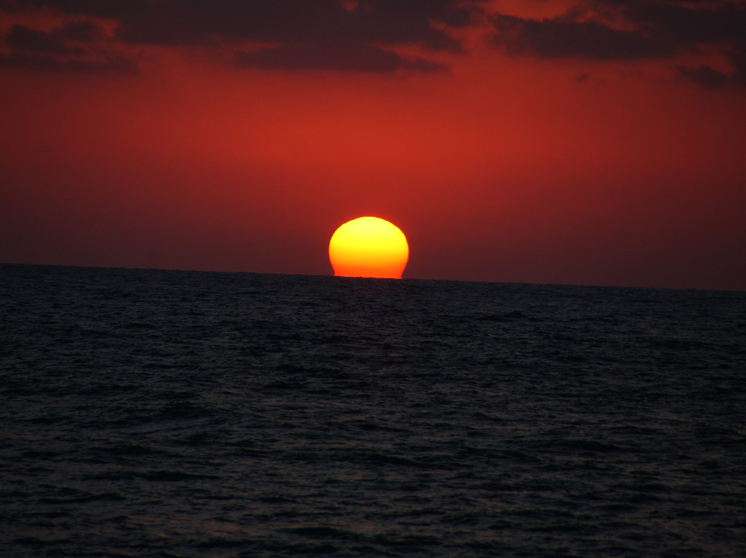 Poleg Beach-Netanya必去景点