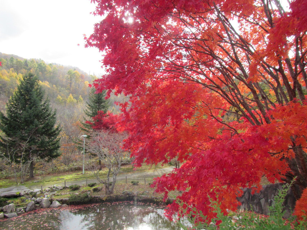 Kamisunagawa Dakenihon Teien-上砂川町必去景点