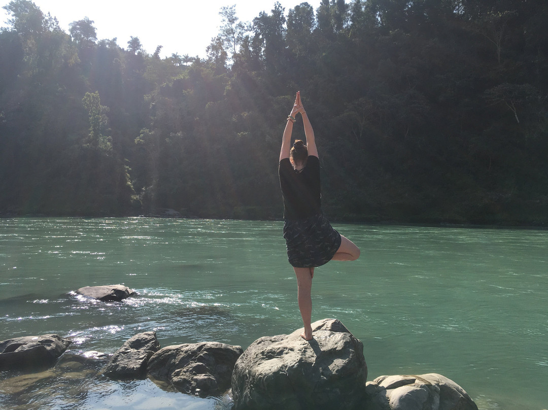 Yog Amritam Yoga Teacher Training景点图片