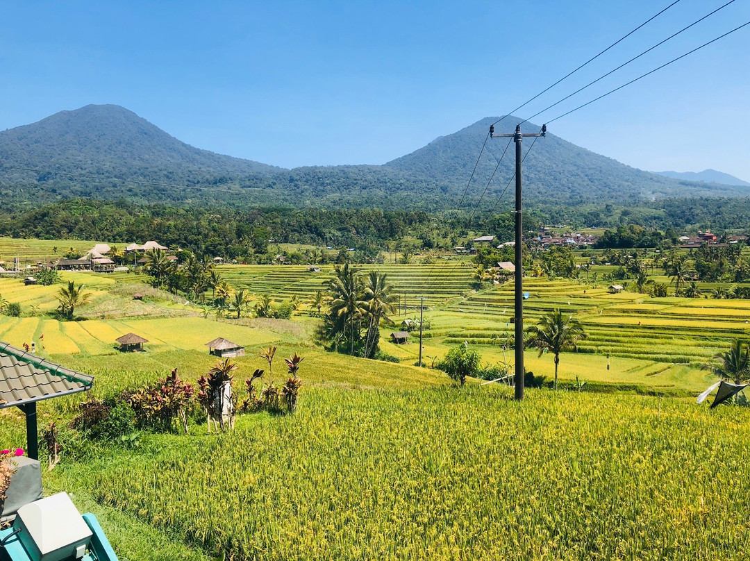 Ubud Bali Day Tour景点图片