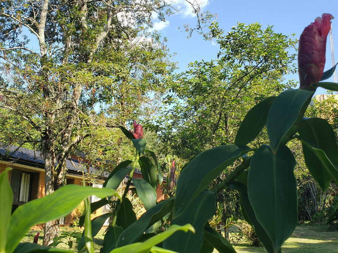 Orquideas Hotel & Cabanas主图