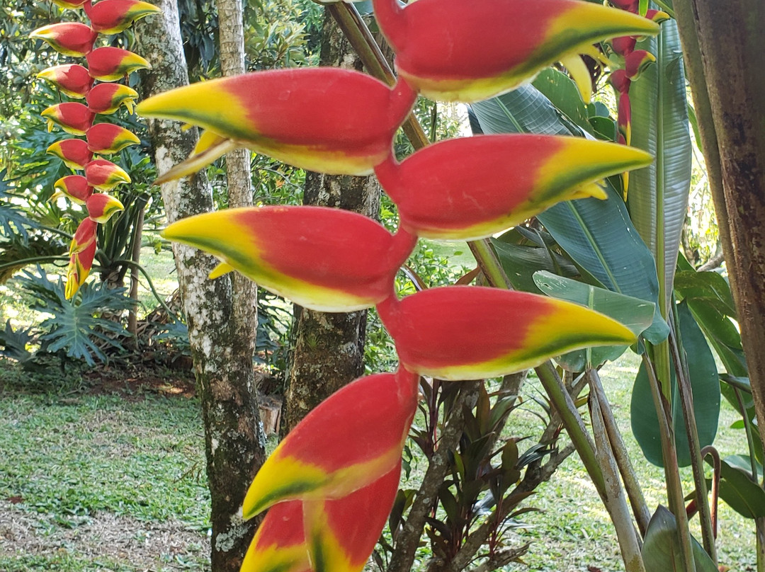 Orquideas Hotel & Cabanas主图