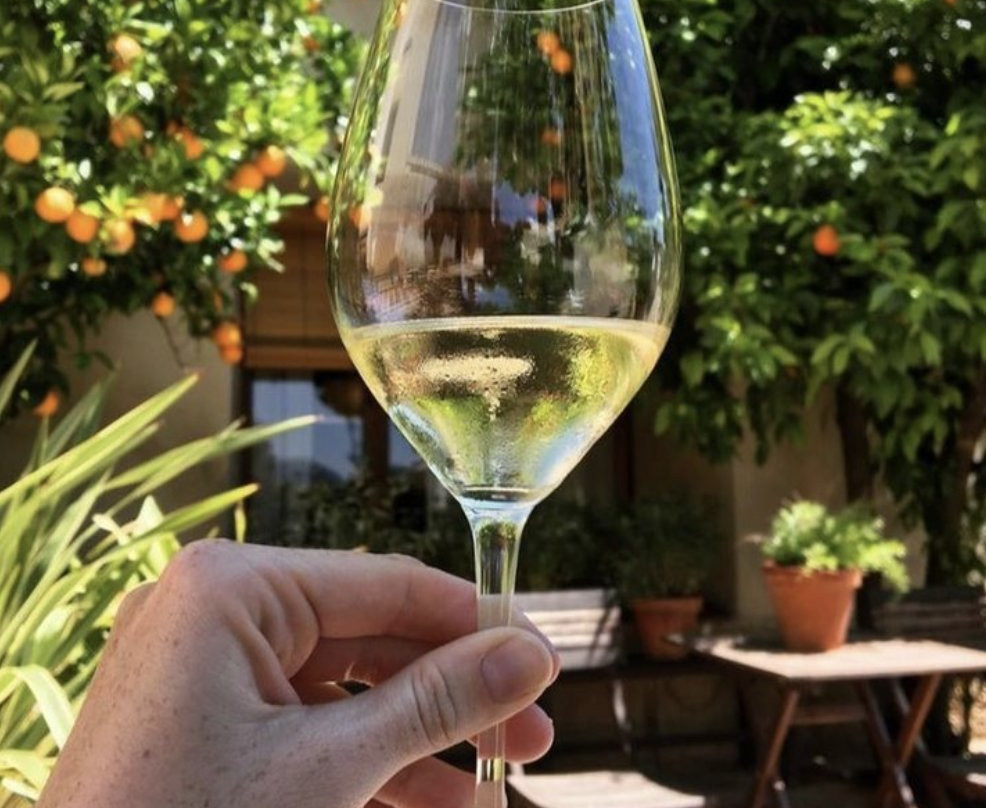 Mas Comtal-Avinyonet del Penedes必去景点