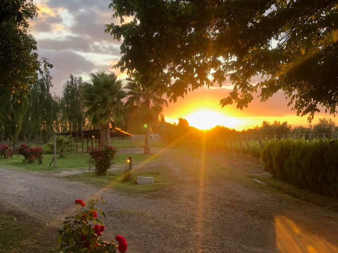 Posada Cavieres Wine Farm主图