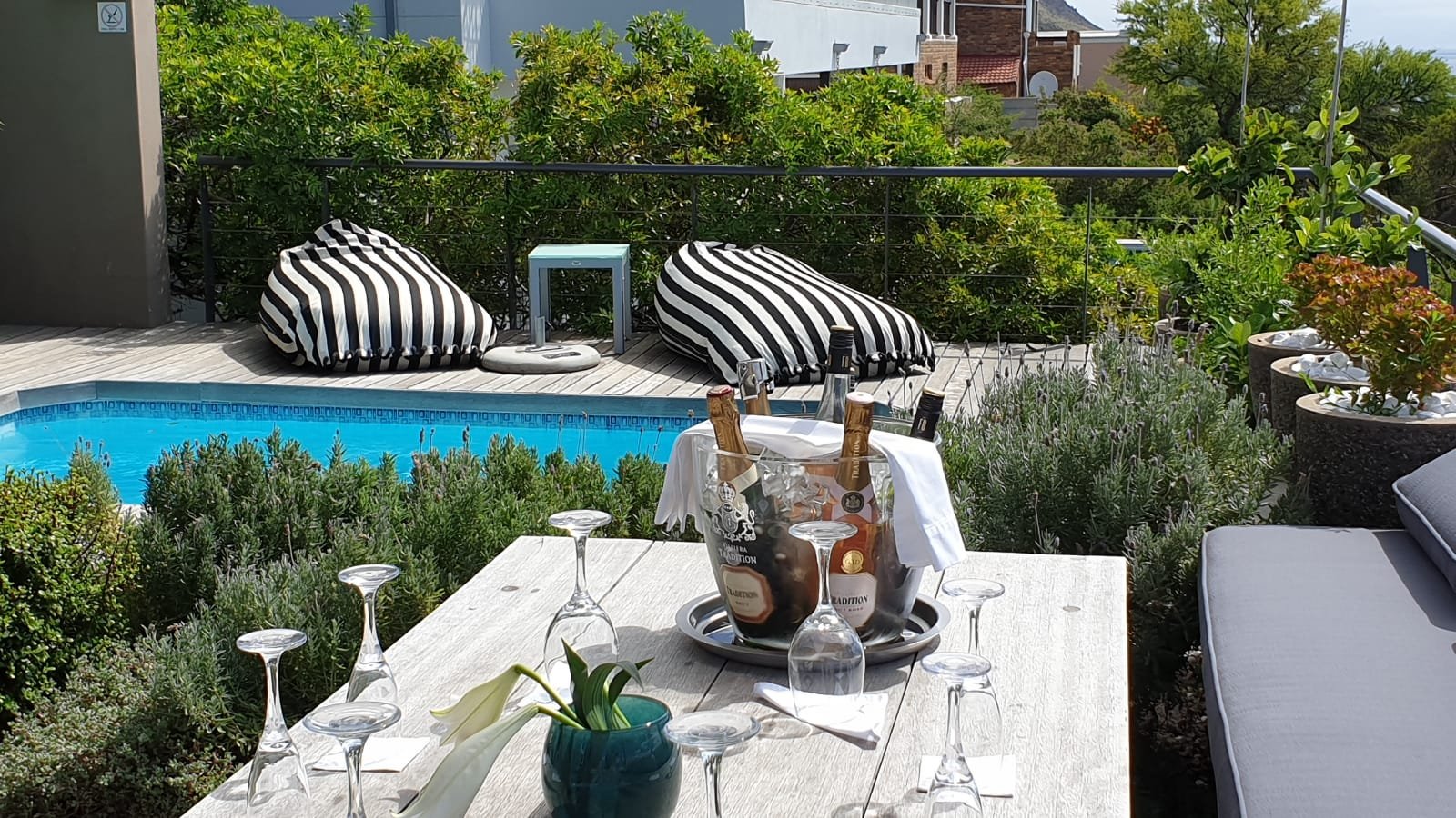 Chocolate Box Boutique Guesthouse-泳池