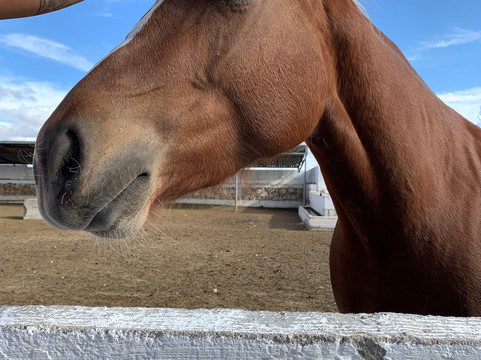 Rancho Canto de Sal主图
