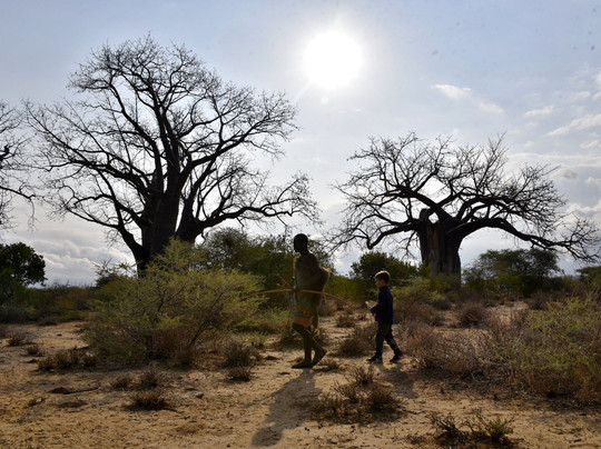 Peace Matunda Tours-阿鲁沙必去景点