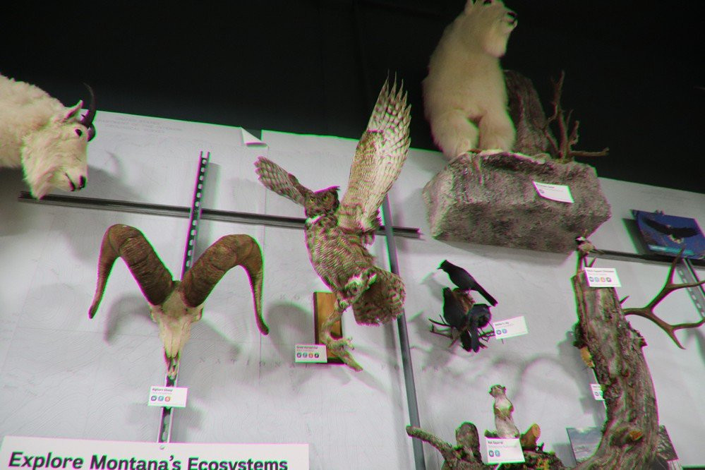 Montana Natural History Center-米苏拉必去景点