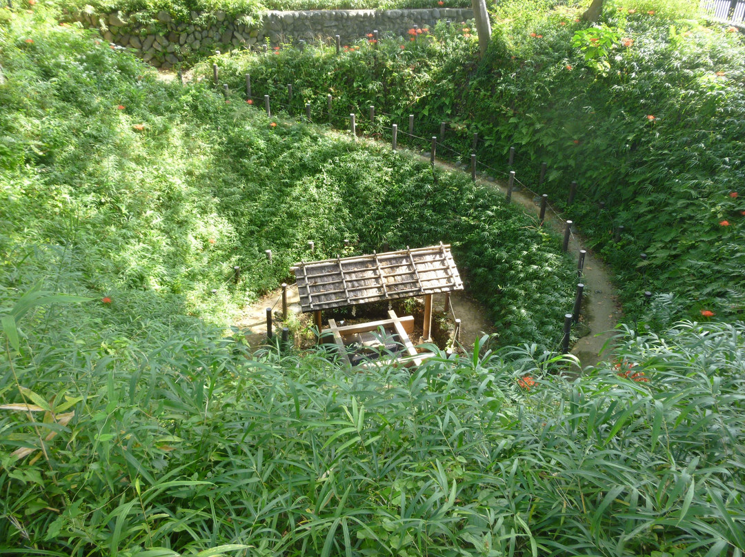 Maimaizu Well-羽村市必去景点