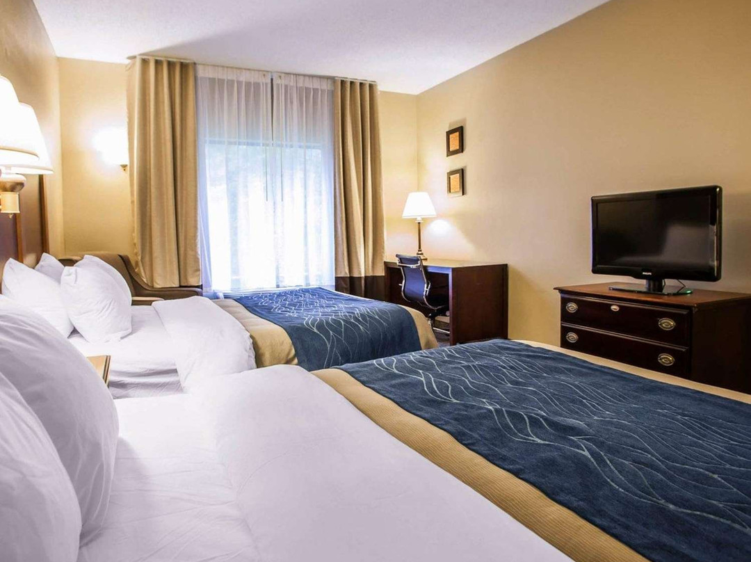 Comfort Inn & Suites主图