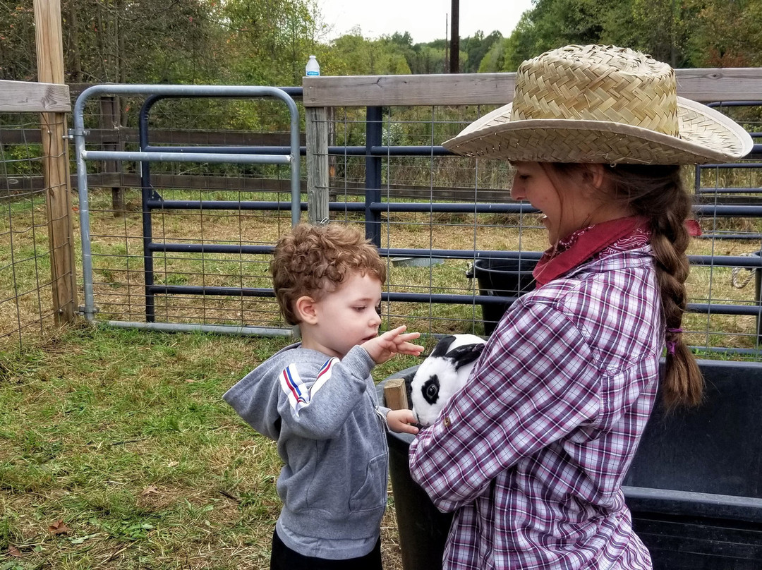 Rockin-R-Ranch-Columbia Station必去景点