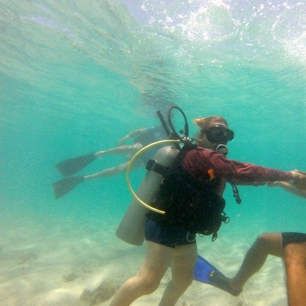 Explorer Diving-Maragogi必去景点