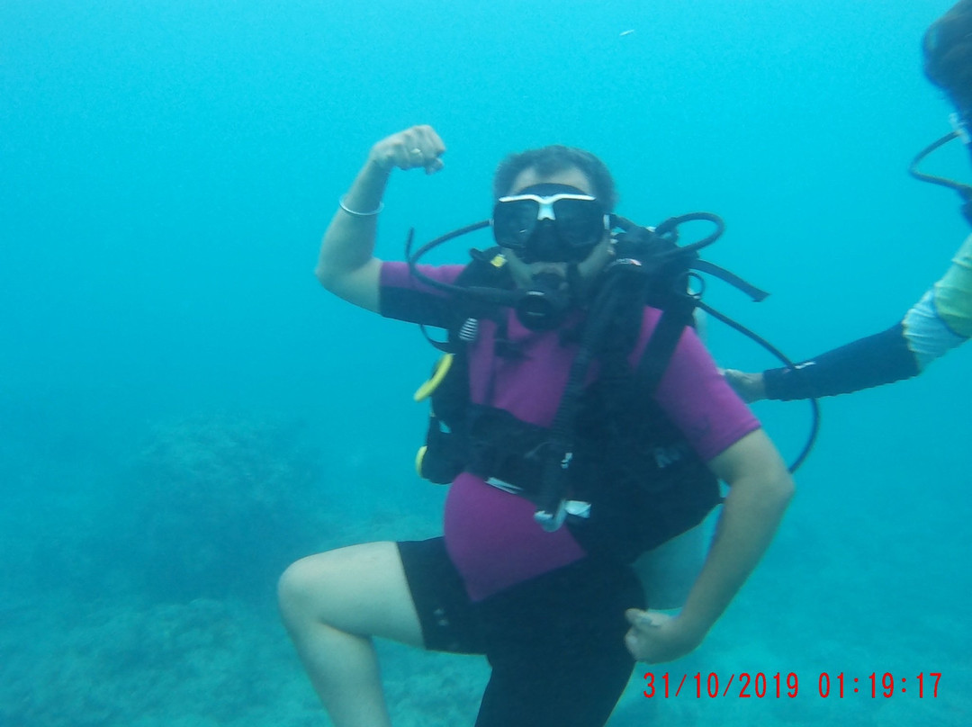 Scuba Yogi景点图片