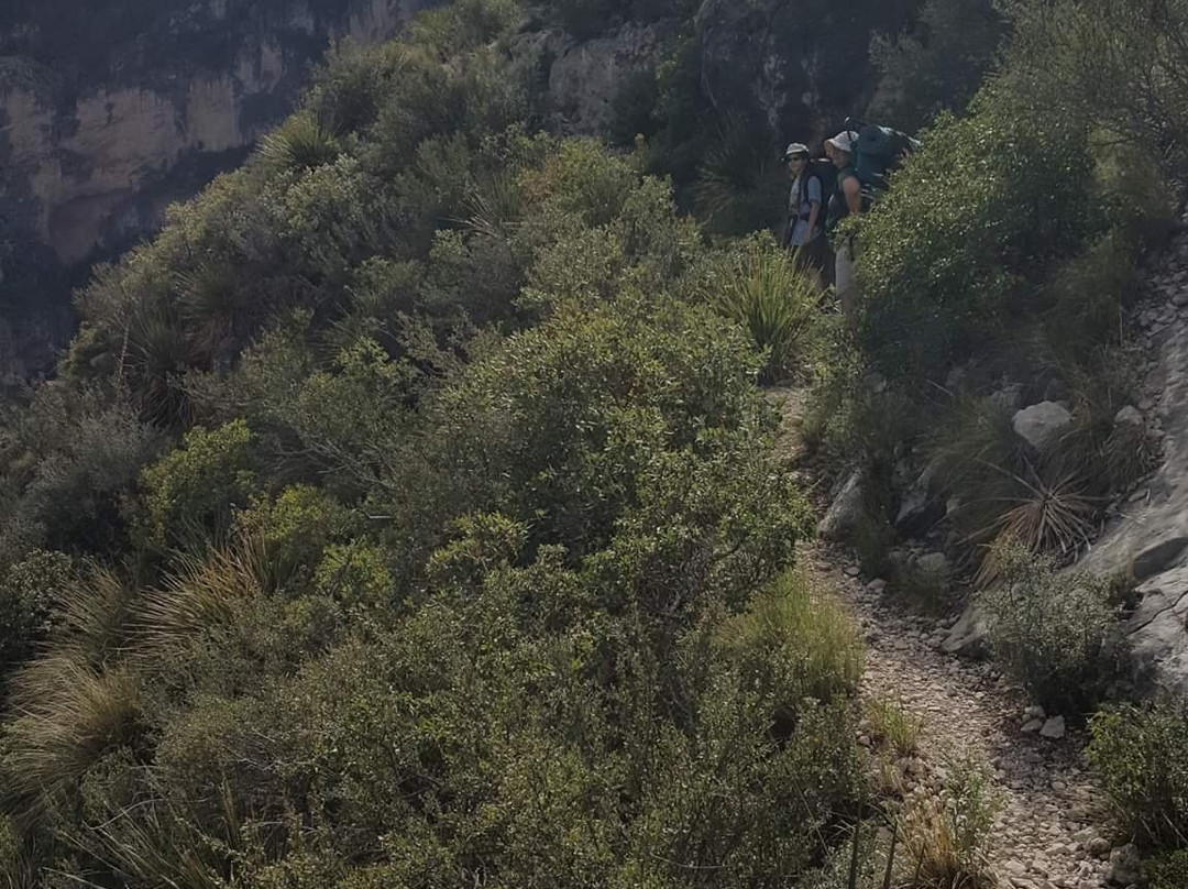 McKittrick Canyon景点图片