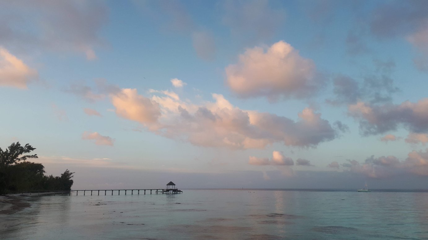 Pension Paparara-泳池