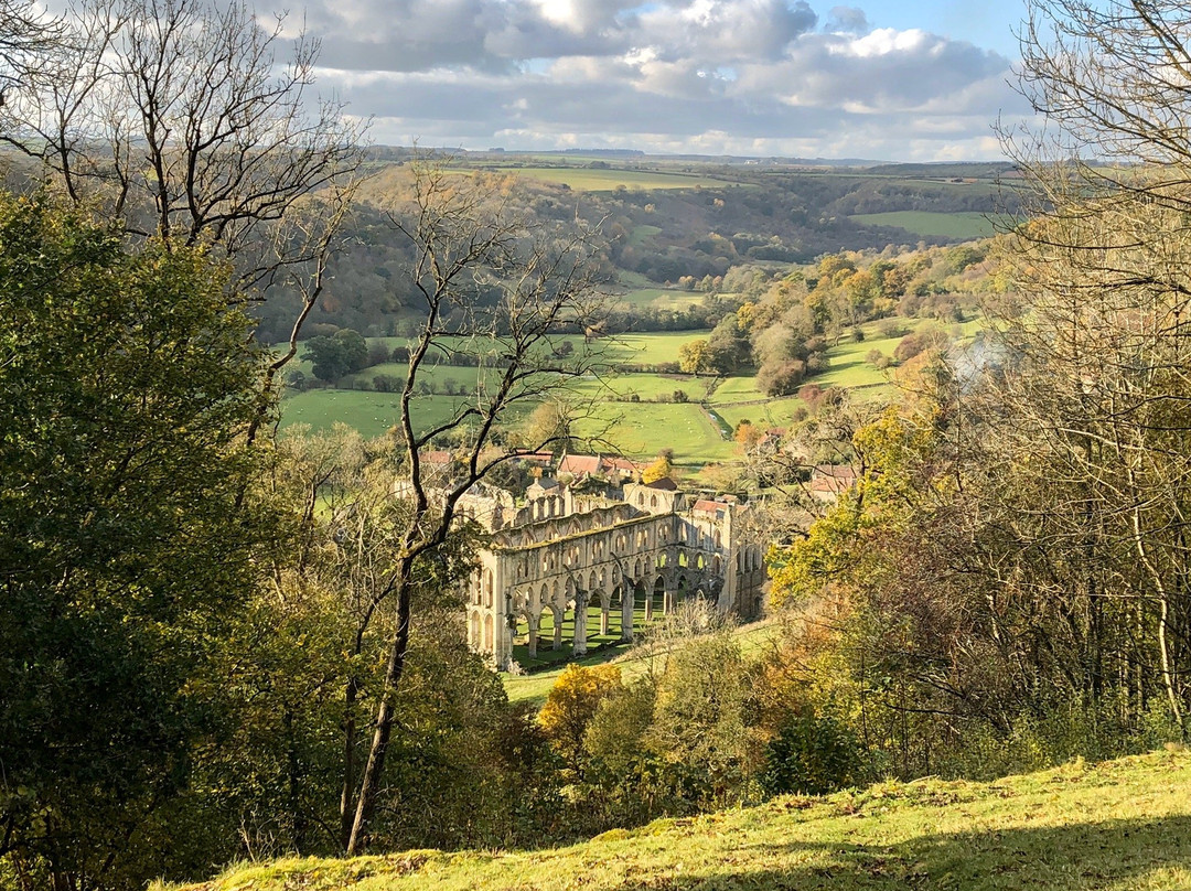 Rievaulx Terrace and Temples景点图片