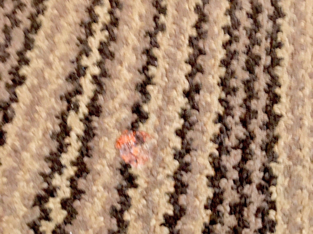 Country Inn & Suites by Radisson, Bel Air/Aberdeen, MD主图